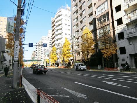 物件周辺