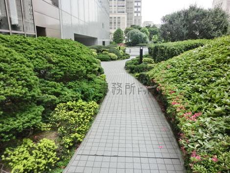 両サイドに緑が生い茂ります