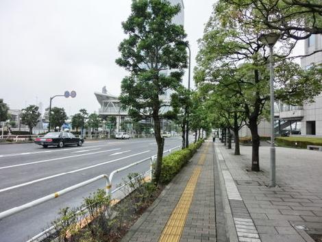 街路樹のある通り