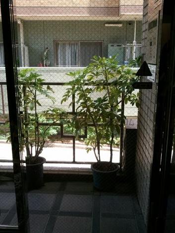 正面玄関