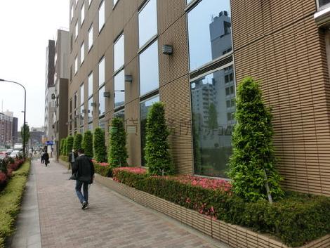 緑も多く落ち着いた雰囲気があります