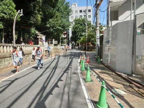 自然を感じられる道