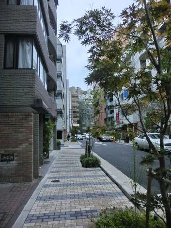 正面の道路です