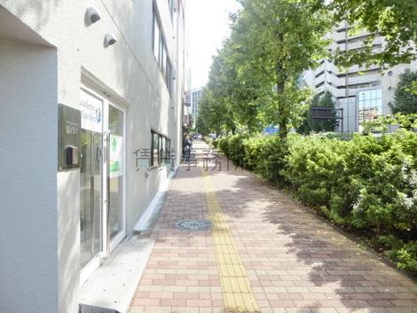 街路樹のある通り