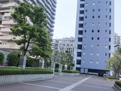 広々とした公開空地
