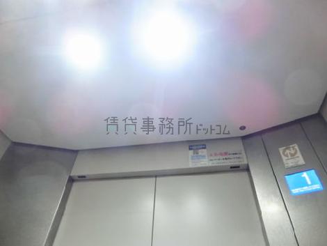 天井の照明