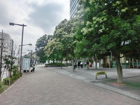 敷地内は緑に溢れています