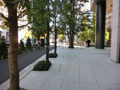 玄関前の光景です