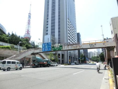 桜田通り沿い