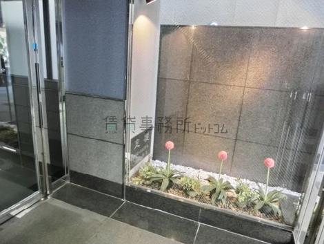 ガラス越しに見える花壇