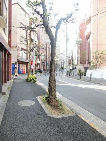 街路樹のある公道