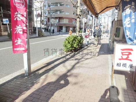 街路樹のある歩道