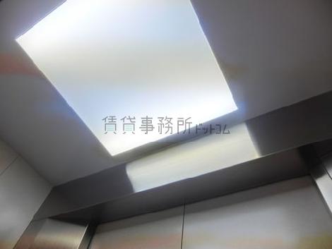 天井の照明