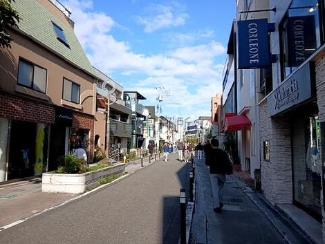 物件周辺