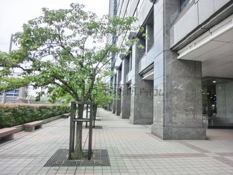 ベンチが配置された休憩エリア