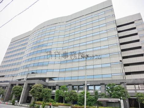 採光面の多い建物