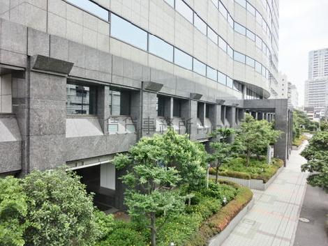 緑の多い玄関回り