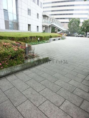 緑のある敷地内