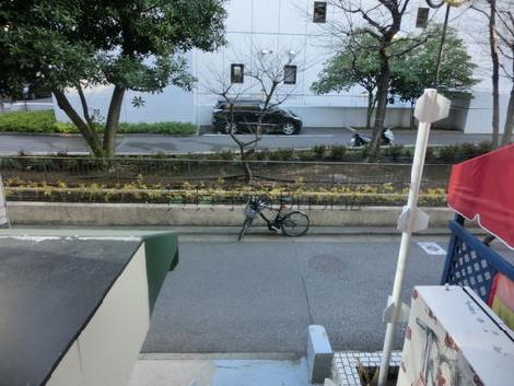 前面には緑も見えます