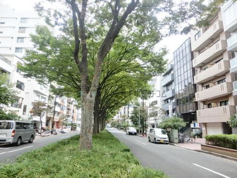 行き交う車の多い通り
