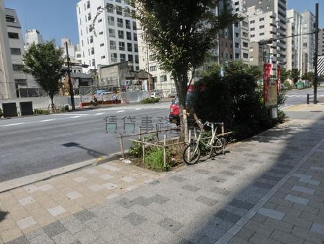 車通りもおおいです