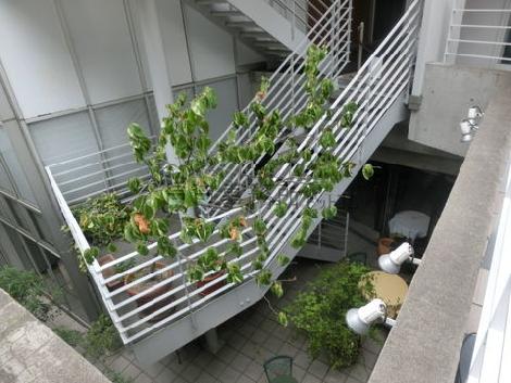 外階段