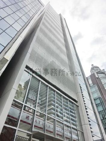 歩道から見上げた様子