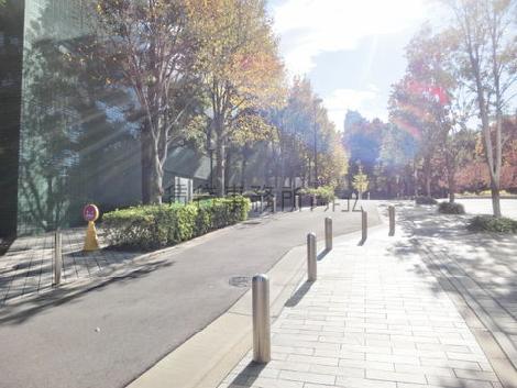 植木の多い通り