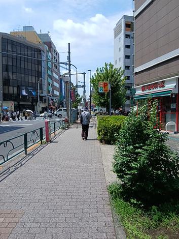 物件周辺