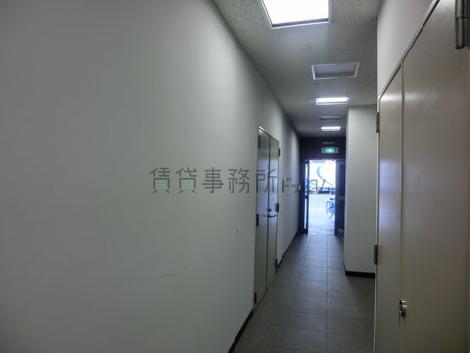 ＥＶ付近から撮影