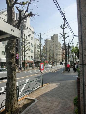 物件周辺