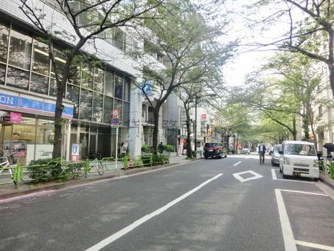 街路樹が続き気持ち良いエリアです