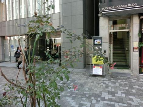車道と歩道の境には植栽や木が植えられています