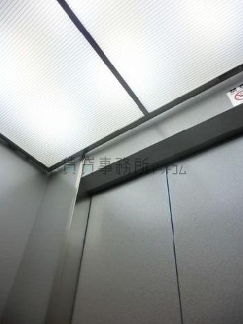 天井の照明