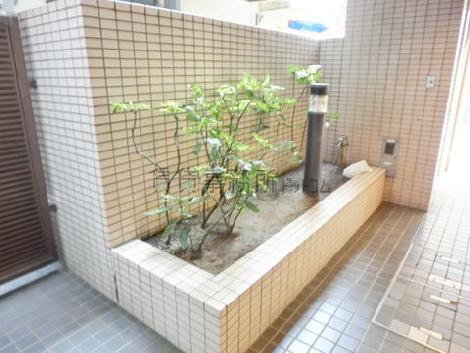 植栽が植えてあります