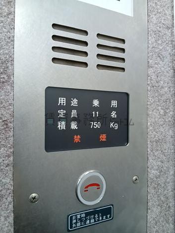 EV 11名乗り