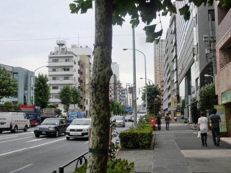 通りの往来は賑やかです