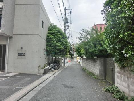 緑に囲まれています