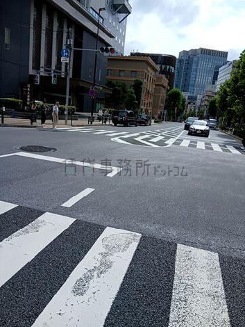 明大通り沿い