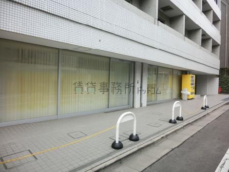 正面を見た様子です