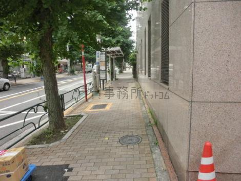 街路樹の立ち並ぶ綺麗な通り