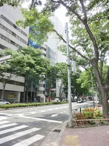 街路樹の多い通り