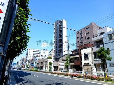 物件周辺
