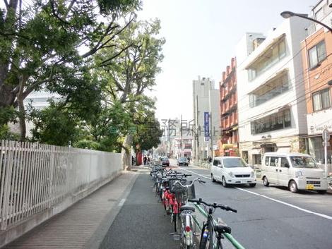 周辺には緑も多くある
