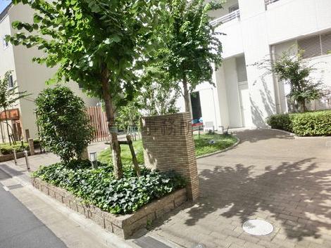 ビル裏手は緑が多く心地良い空間です