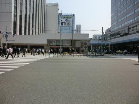 正面入口付近から見た周辺です