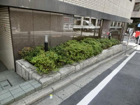 建物周辺には植込みが多数あります