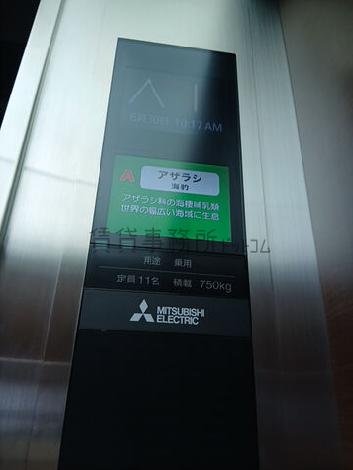 11名乗り
