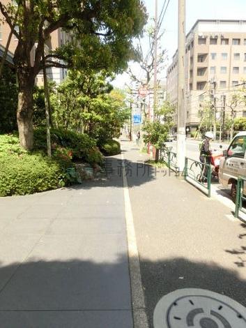 緑のある通り