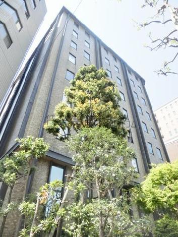 敷地内から見上げた外壁